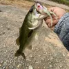 fishinimpossible