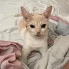 angelkim21