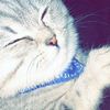omahmadbdour