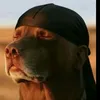 poedaddyy