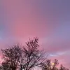 nyolivia647592