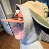 annadevauxx