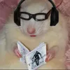 deardarlingdreamer