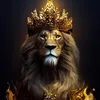 joaoazevedo77