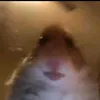 please.cream.in.my.ass