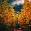 alaskan_tinkerbell