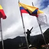 deniceconcee