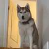 jordan.mora08