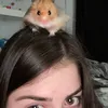 ryylliee13