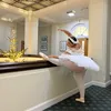 shanices.ballet.diary