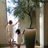 junijunpo