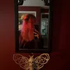 kikimve_