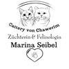 cattery_von_chawerim_mg