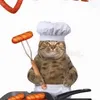 fishyflapzz