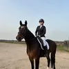 robinvermeulenn