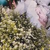 flouqiiish