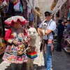 alonsoparian