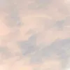 ellacohen2