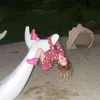 stellajacksonnn