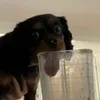 kennedy.healyy