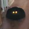 psycho_gremlin_