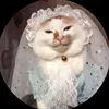 pennyfart
