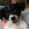 whofoundb