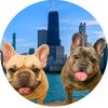 sweetnsaltyfrenchies