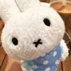 .x._miffy