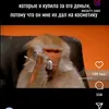 deadkrekkerr