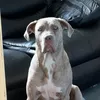 roxie957