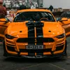 orangebullit