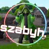 impulse_szabyh