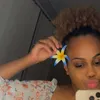 julz.101