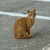 user__404_