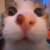 emy.wak