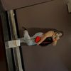 abbi_288