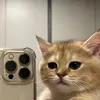 userxyzxyz31