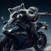 raccoonrider47