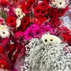 lasfloresblancas