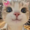 miryamfendi