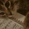 sophiaa_754