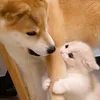 eahjasdhdnf