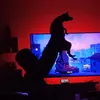 giannu_06