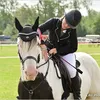 lexia_and_equines