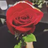 _babyfacexp