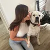 The House of 6 + the Dog