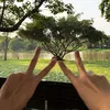 zppncp