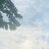 noorfikk_