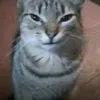 shivaaaaaa_